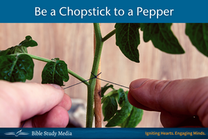Be a Chopstick to a Pepper