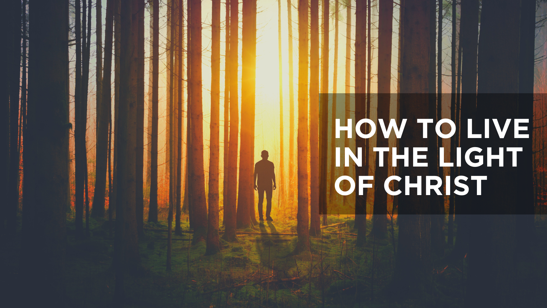 How to Live in the Light of Christ