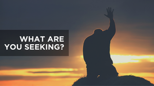 What Are You Seeking?