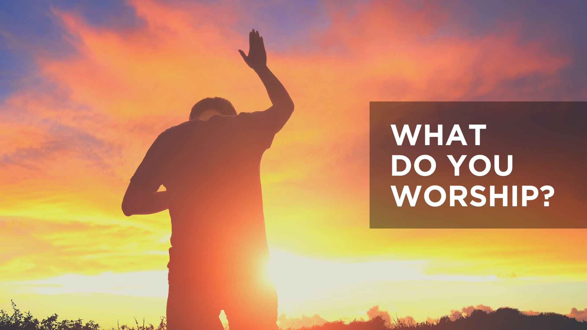 What Do You Worship?