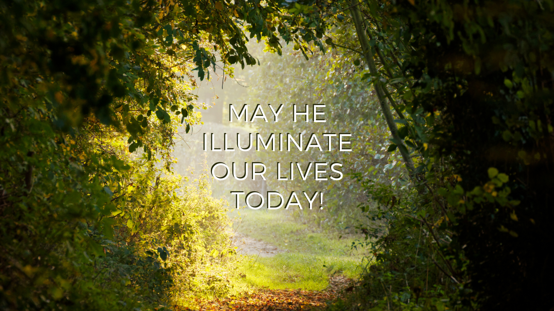 The Light Shines in the Darkness