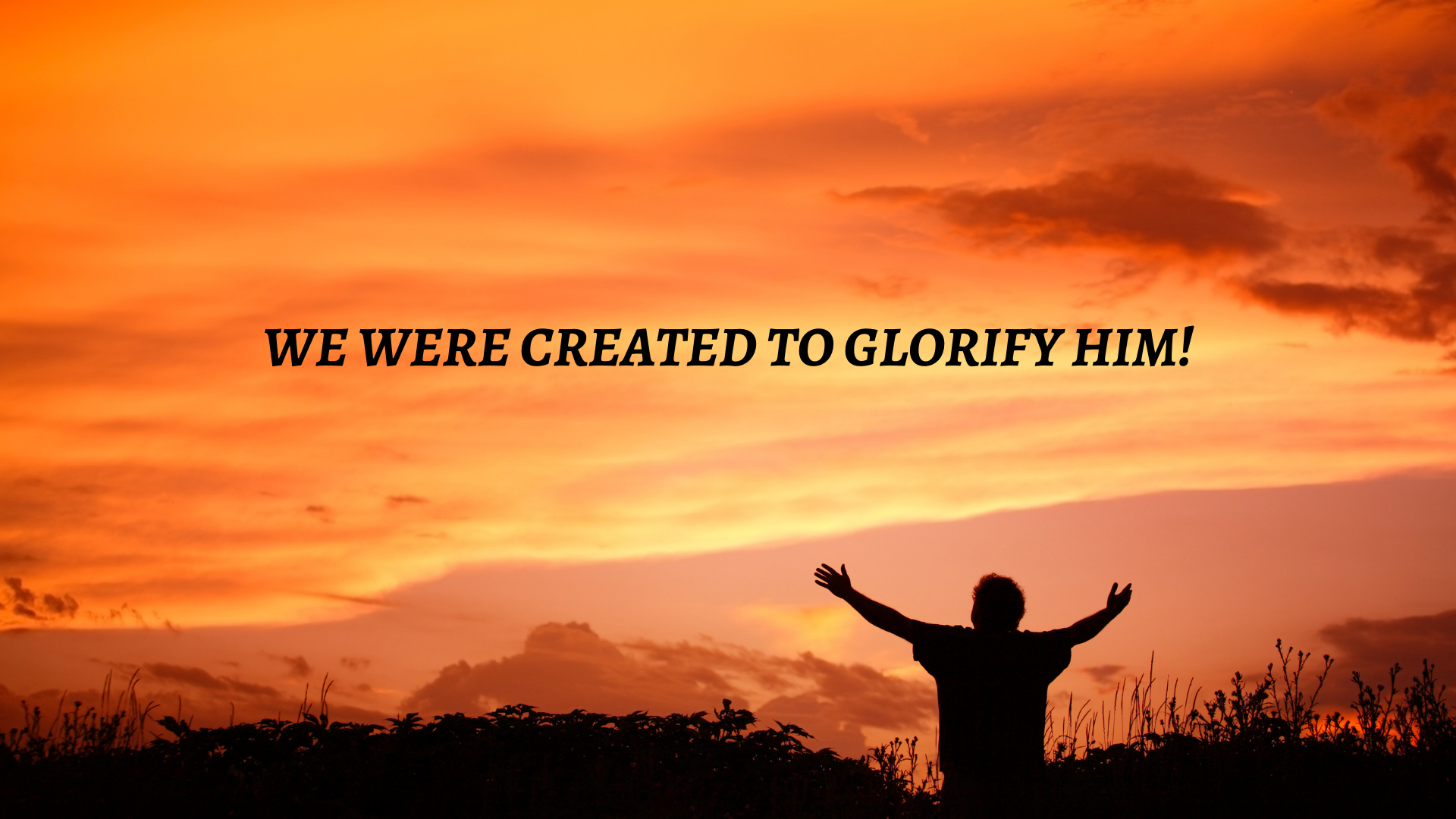 You Are Not Your Own