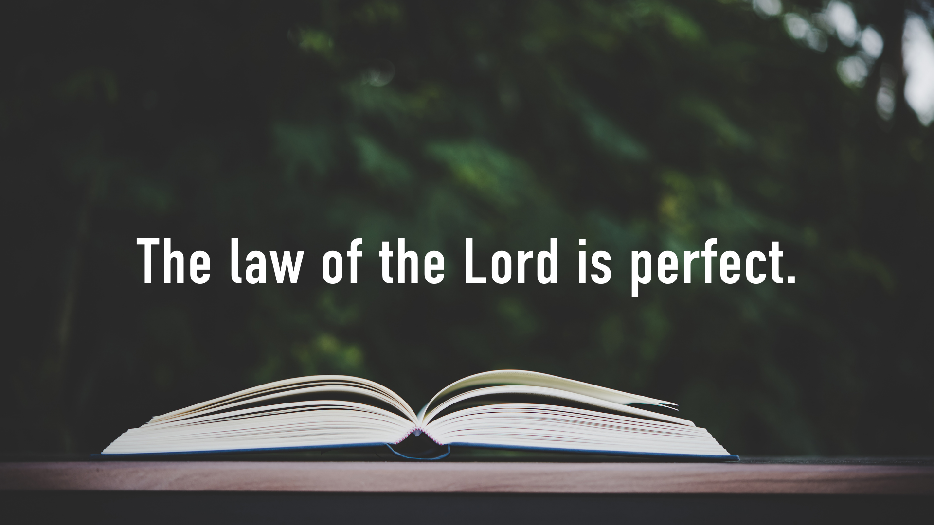 The law of the Lord is perfect.