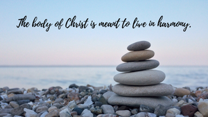 The body of Christ is meant to live in harmony.