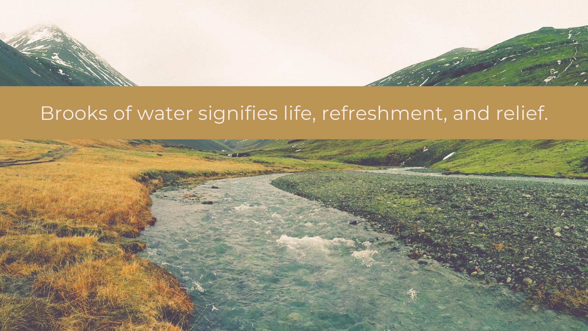 I Will Lead Them Back