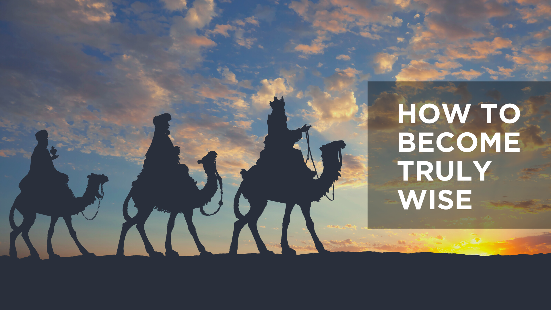 How to Become Truly Wise