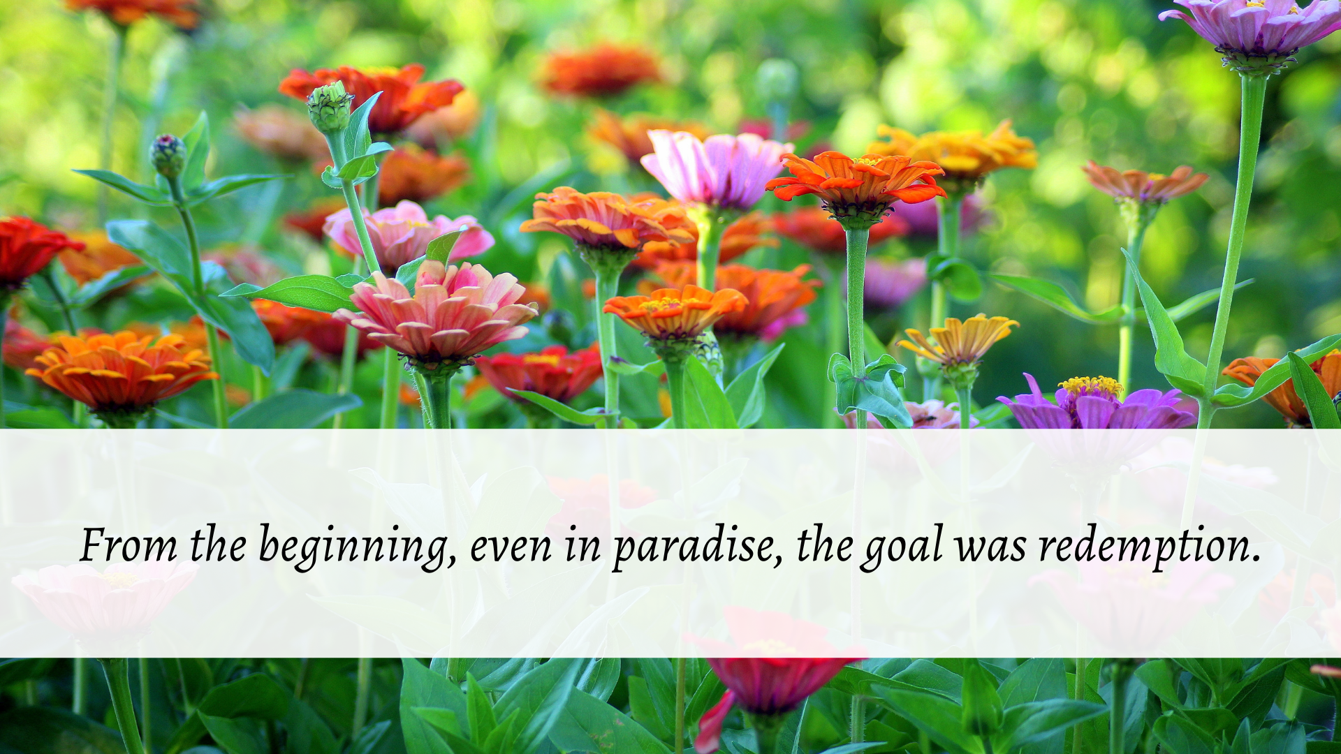 From the beginning, the goal was redemption.