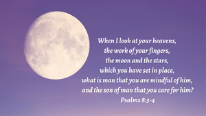 Psalm 8:3-4