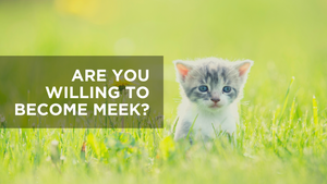 Are You Willing to Become Meek?