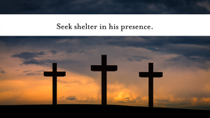 Seek shelter in his presence.
