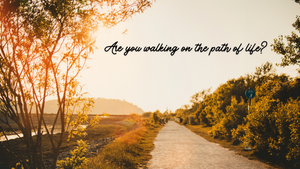 Are you walking on the path of life?