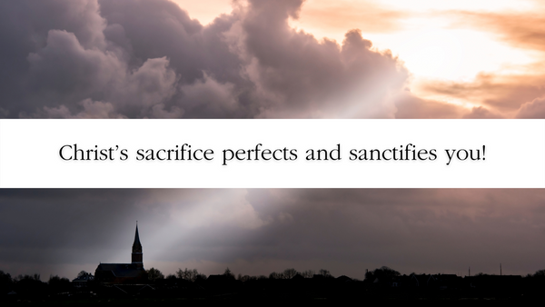 Christ’s Sacrifice Perfects and Sanctifies You Bible Study