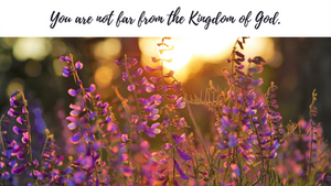 You are not far from the kingdom of God.