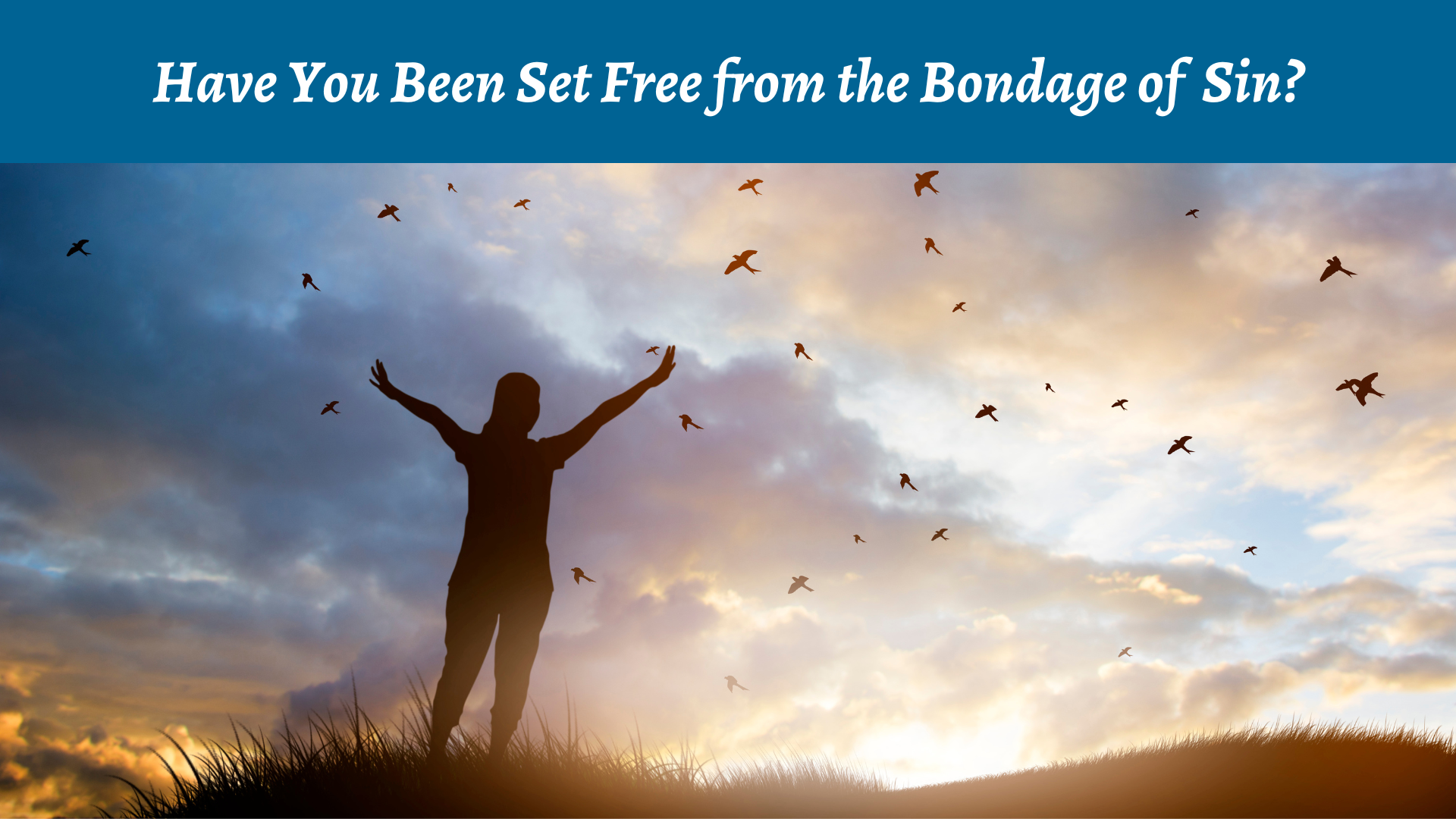 Have You Been Set Free from the Bondage of Sin?