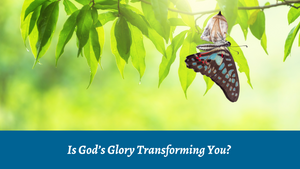 Is God’s Glory Transforming You?