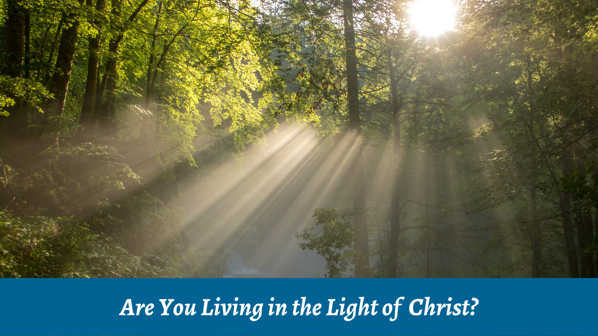 kaptajn par Person med ansvar for sportsspil Are You Living in the Light of Christ? | Bible Study Media