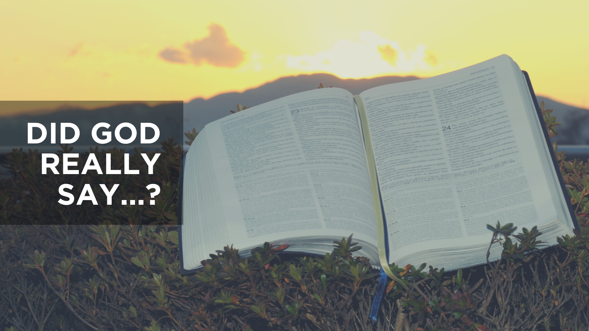 Did God Really Say . . .?