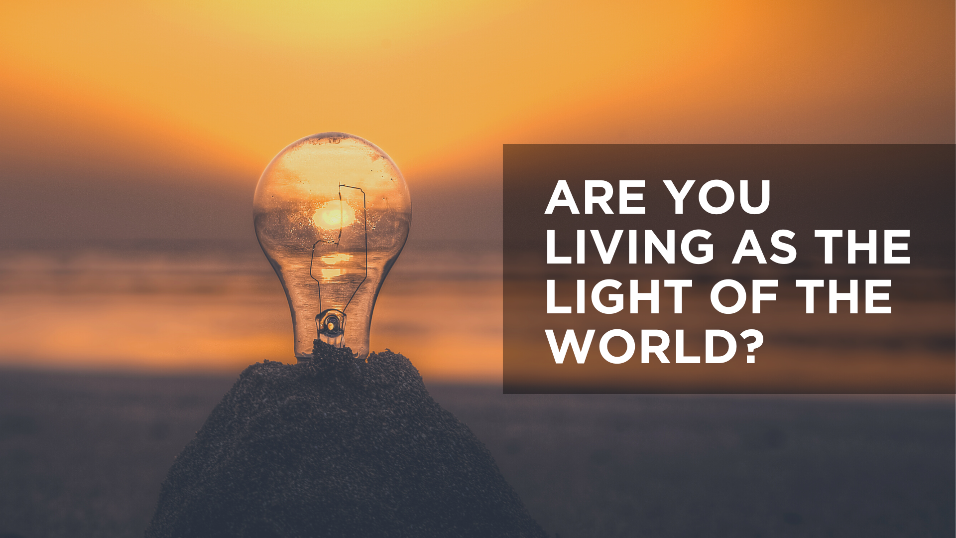 Which world are you living in?