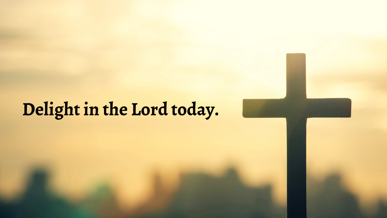 Delight in the Lord today.
