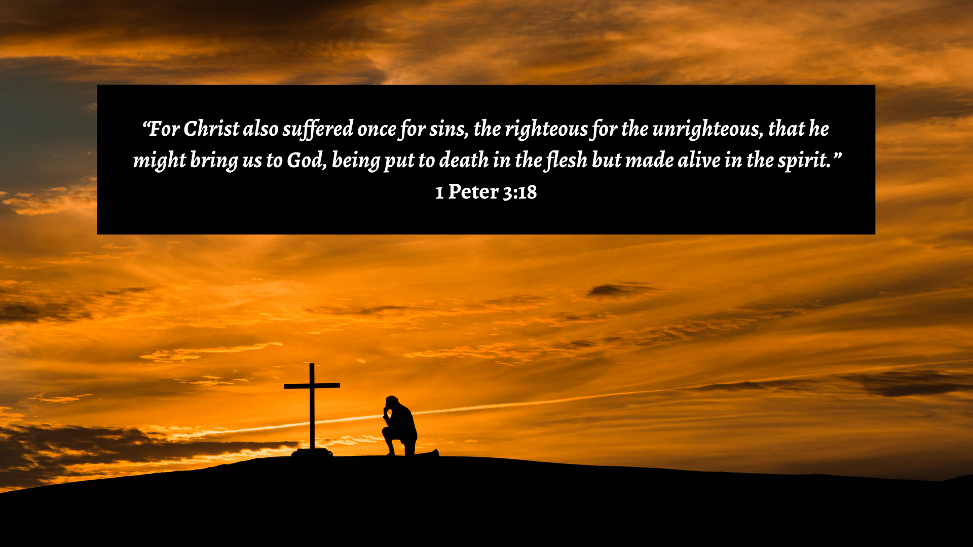 Not Everything Is What It Seems, a Bible Study Media Daily Devotional