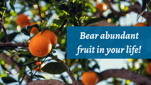 Bear abundant fruit in your life!
