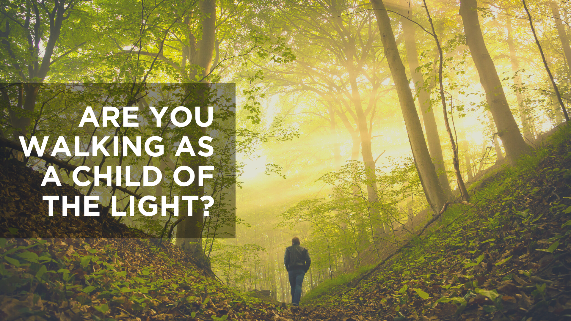 Are You Walking as a Child of the Light?