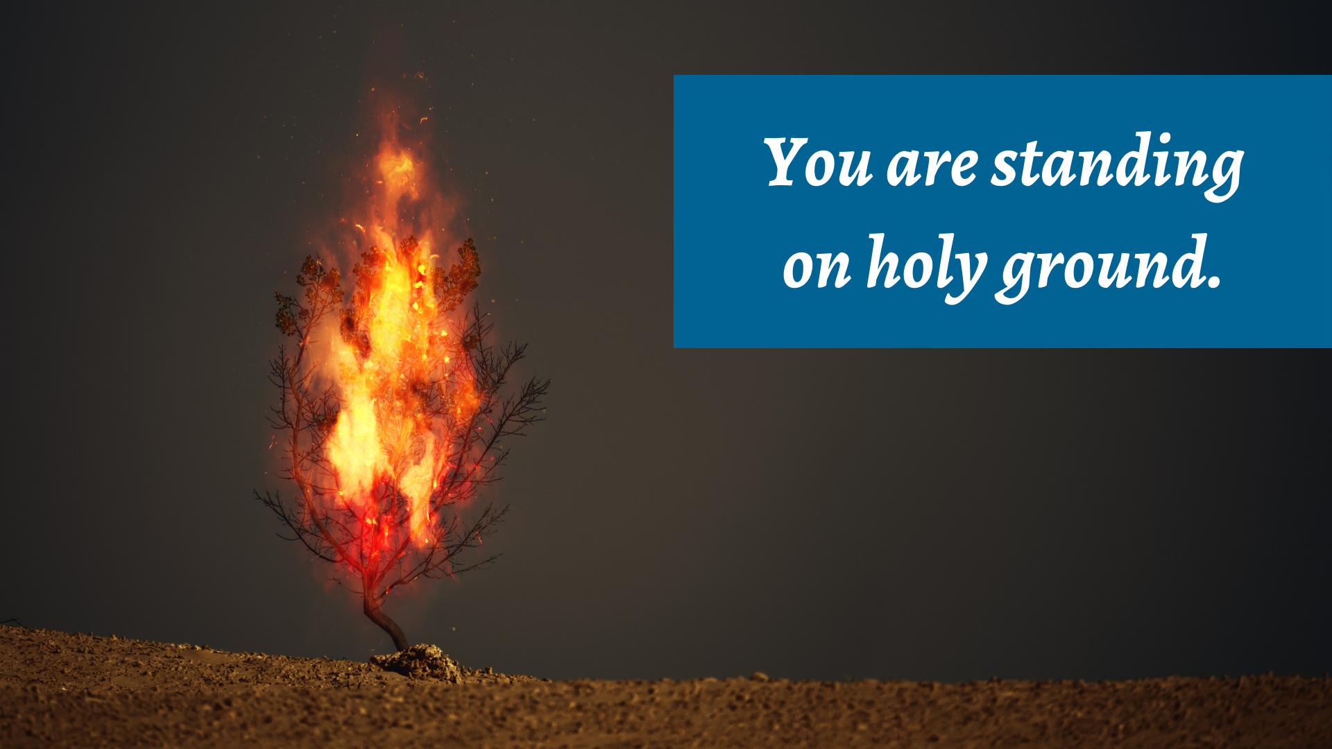 You Are Standing on Holy Ground