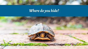 Where do you hide?