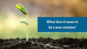 What does it mean to be a new creation?