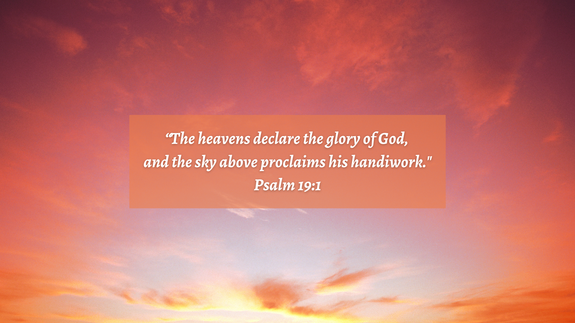The Glory of God Revealed for You, a Bible Study Media Devotional