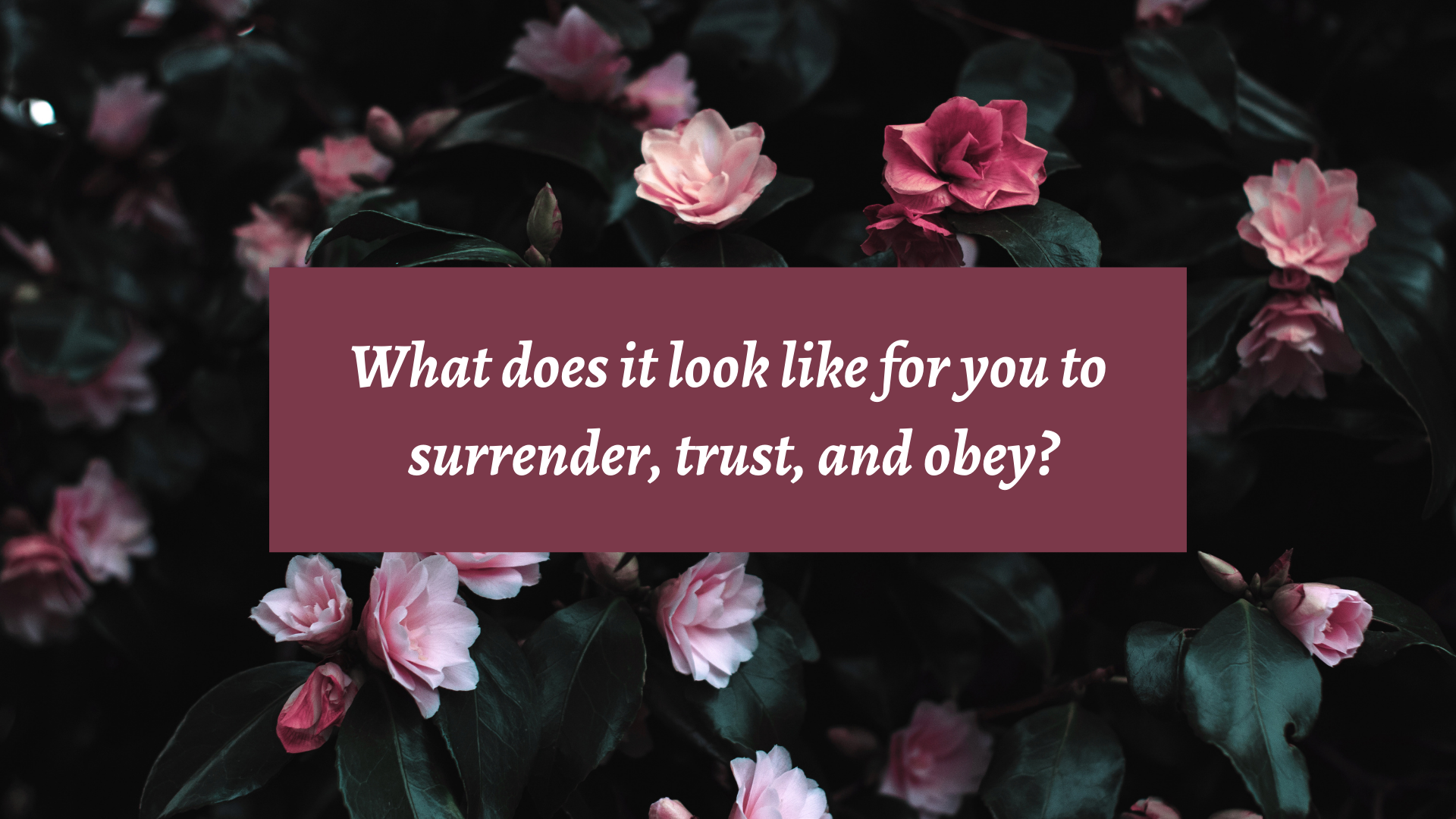 The Impatience of God’s People