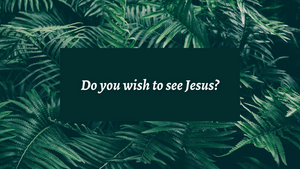 We Wish to See Jesus