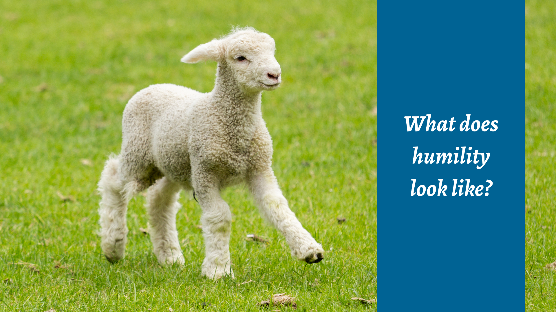 What does humility look like? 