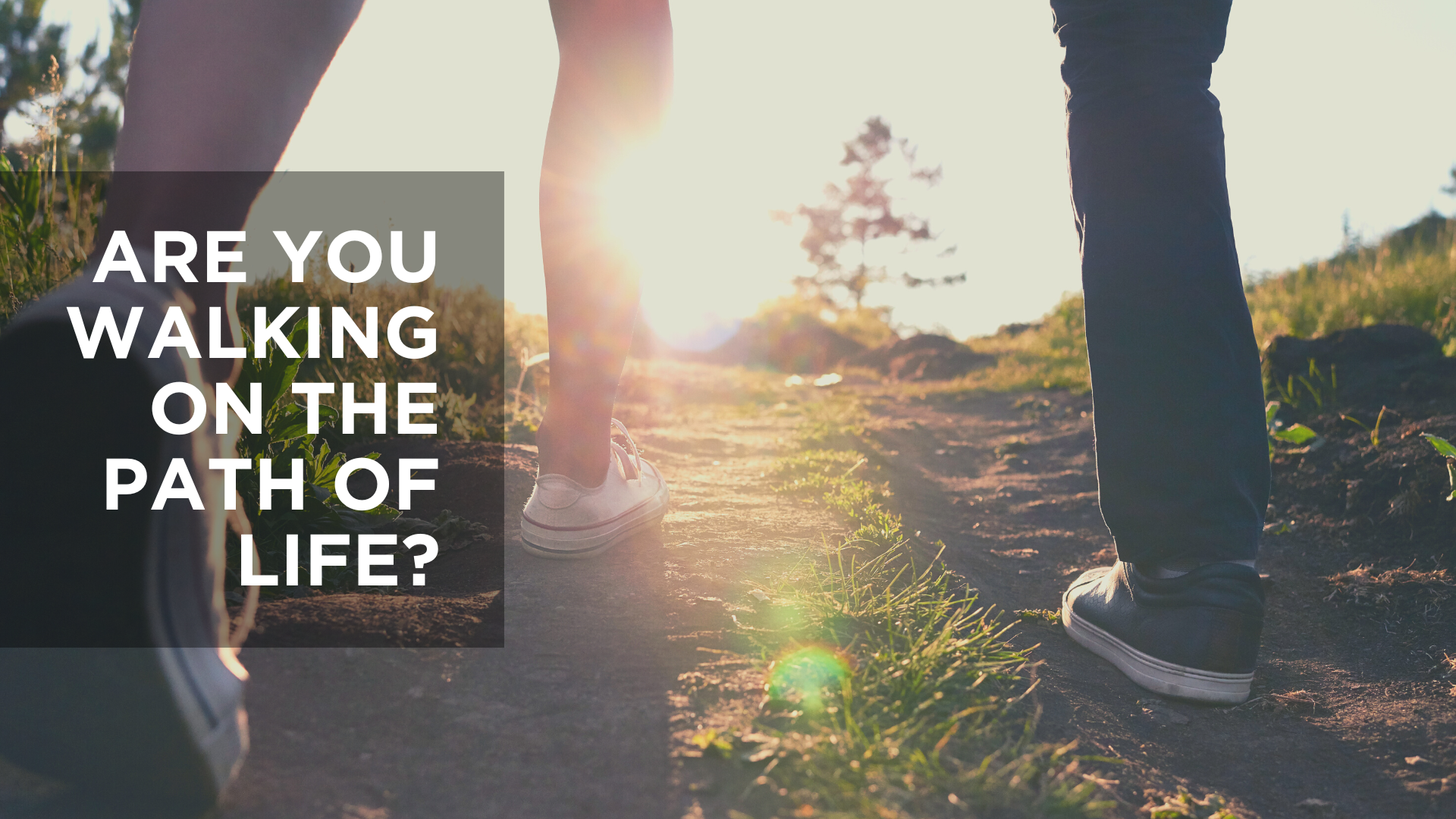 Are You Walking on the Path of Life?