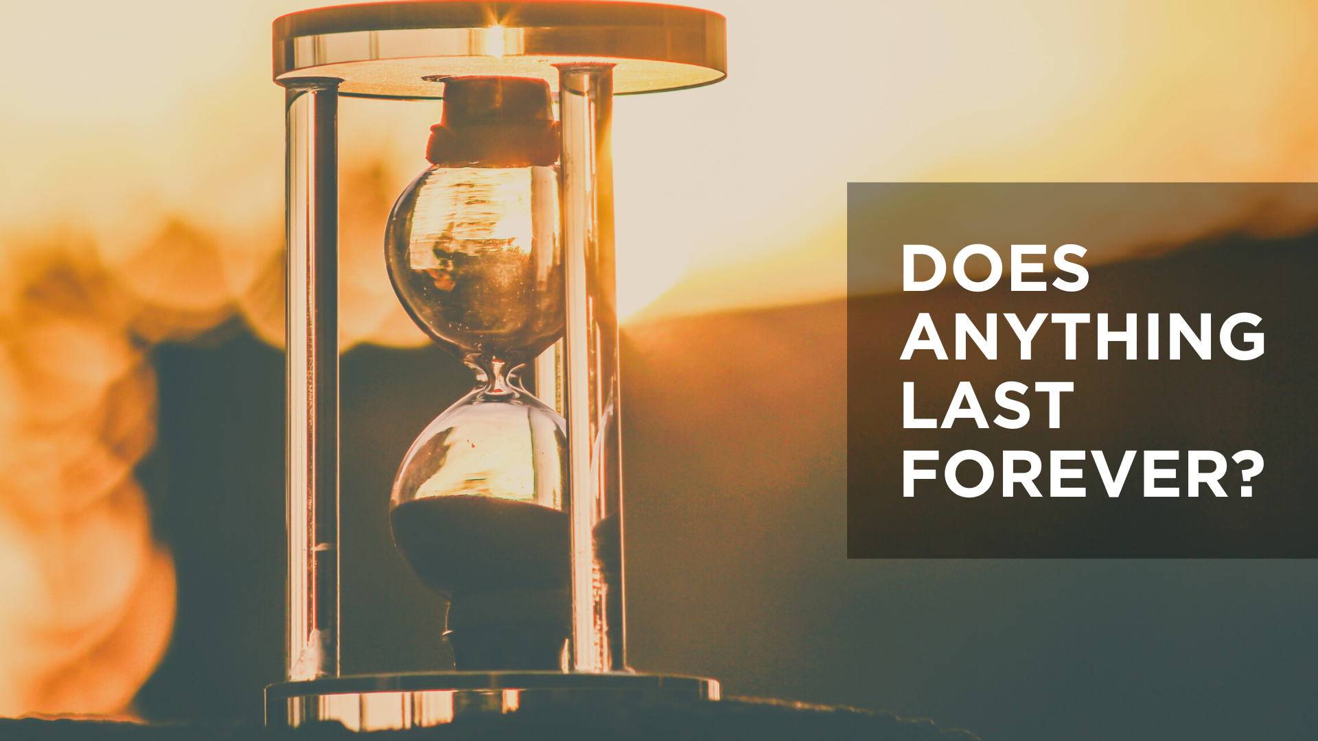 Does Anything Last Forever? 