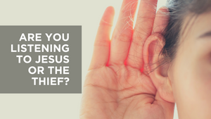 Are You Listening to Jesus or the Thief?