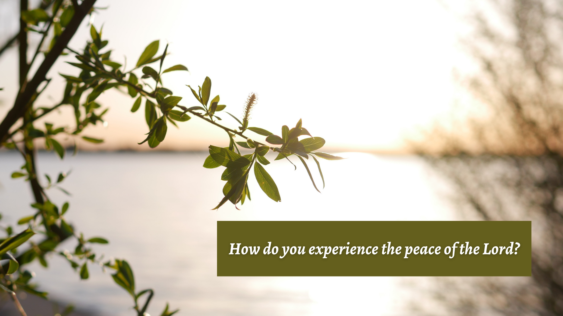 Peace Be with You