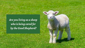 I Am the Good Shepherd