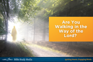 Are You Walking in the Ways of the Lord? 