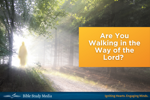 Are You Walking in the Ways of the Lord?