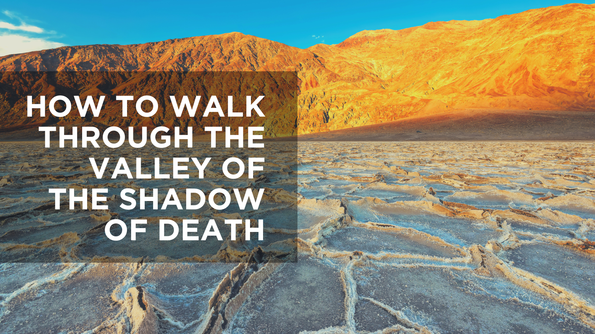 Flock Umeki Arne How to Walk through the Valley of the Shadow of Death | BSM