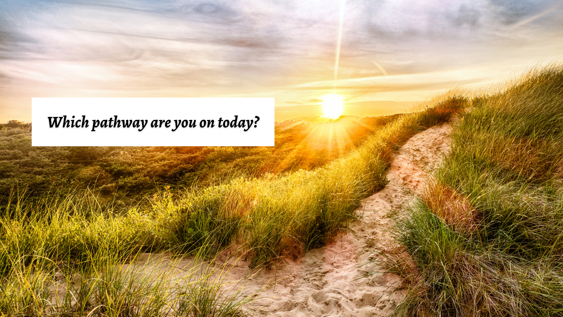 Which pathway are you on