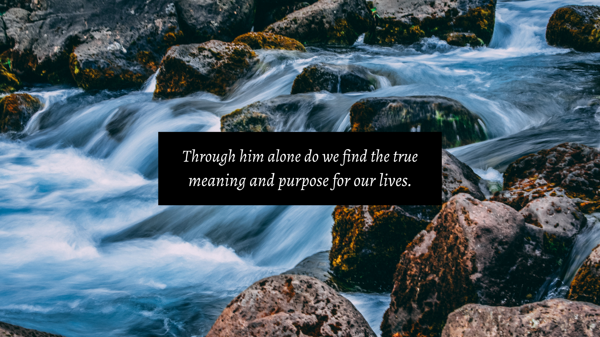 true meaning and purpose