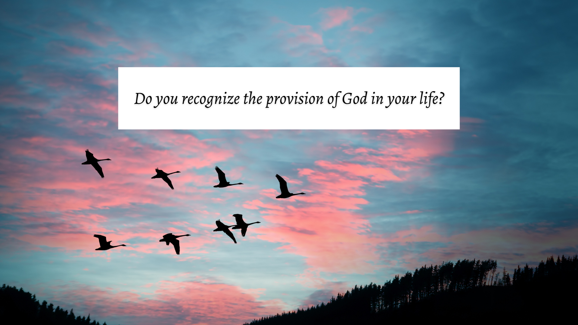 Life and Renewal through the Holy Spirit