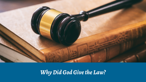 Why Did God Give the Law? 