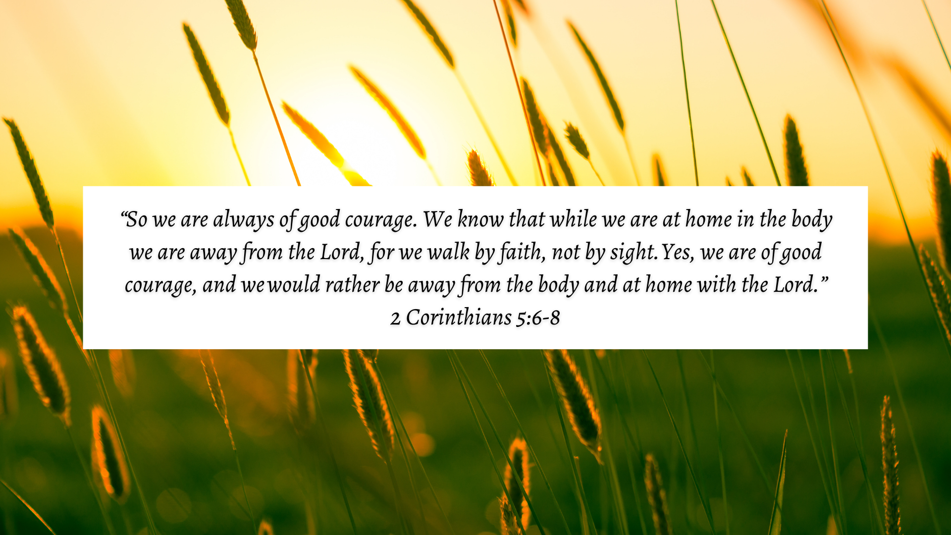 Suffering for the Sake of the Kingdom of God