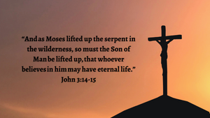 The Son of Man Must Be Lifted Up