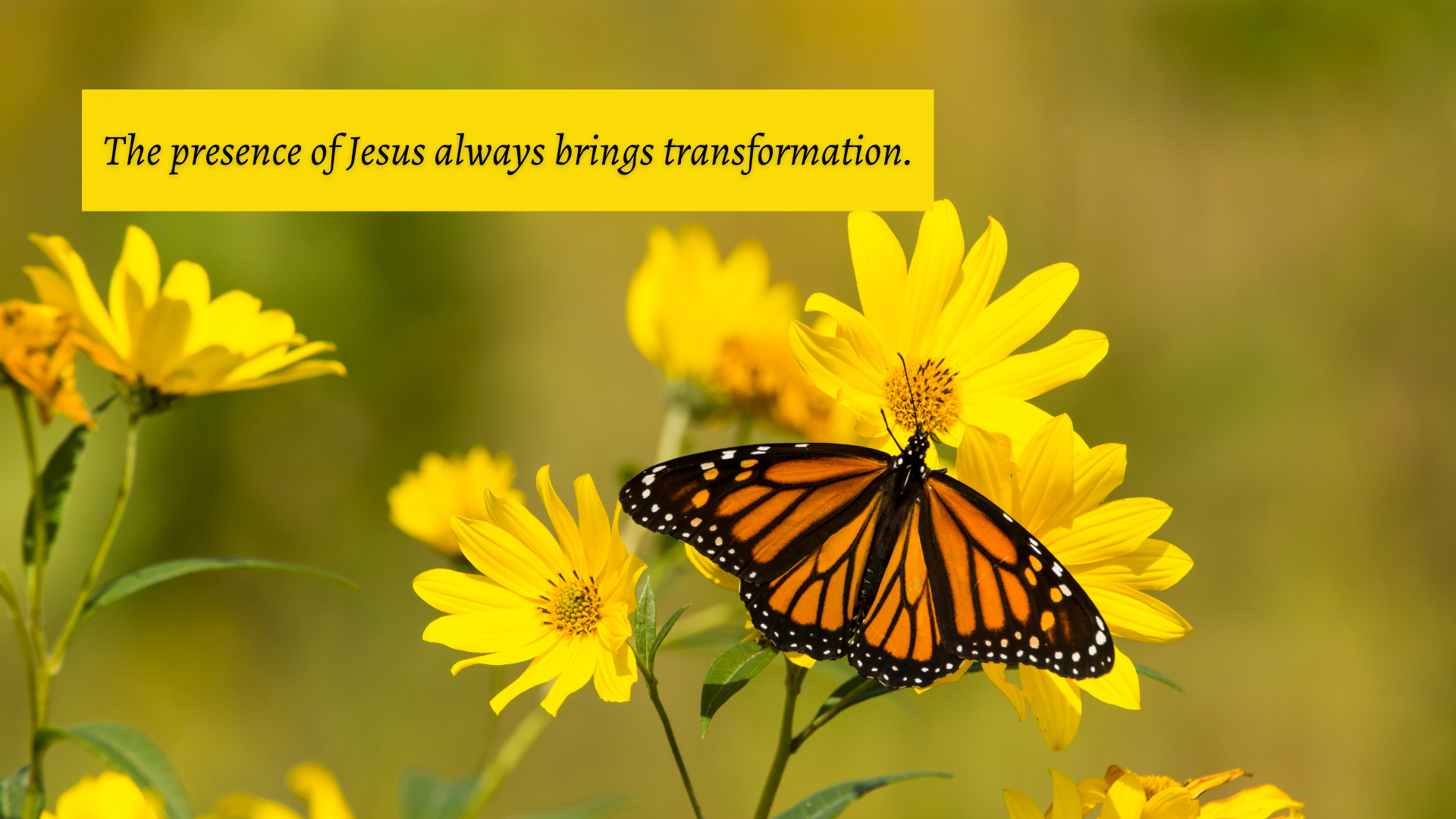 Was Jesus Out of His Mind?