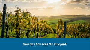 How Can You Tend the Vineyard?