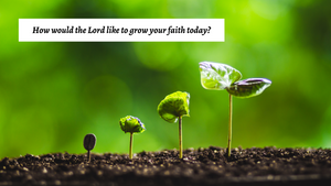 How would the Lord like to grow your faith today?